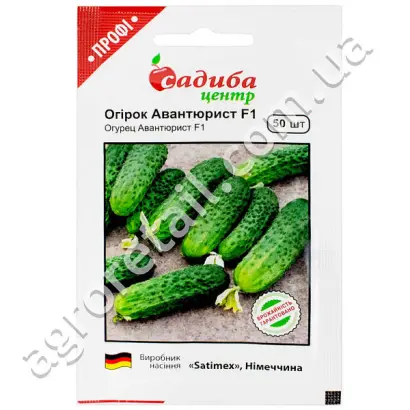 Авантюрист