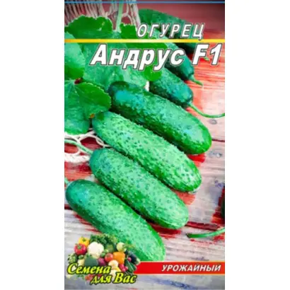 Andrus F1 / Андрус F1