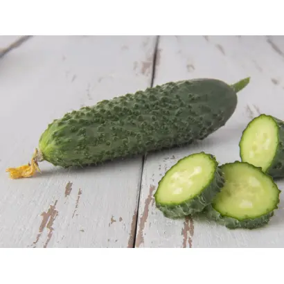 Ansgar / Ансгар