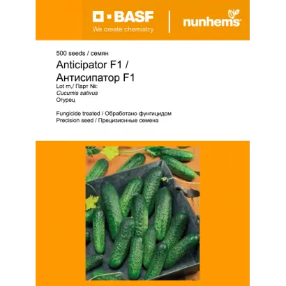 Anticipator / Антісіпатор