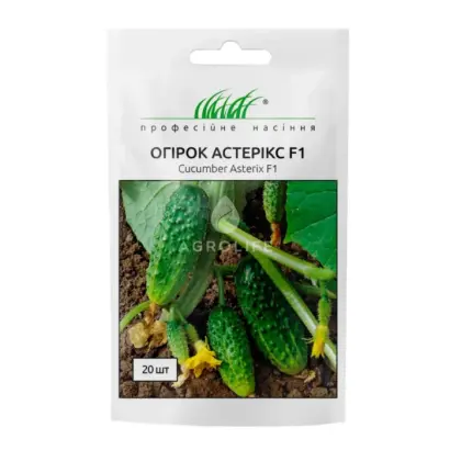 Asterix F1 / Астерікс F1