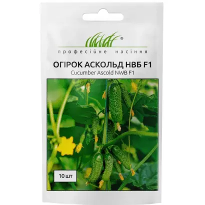 Ascold NWB / Аскольд НВБ