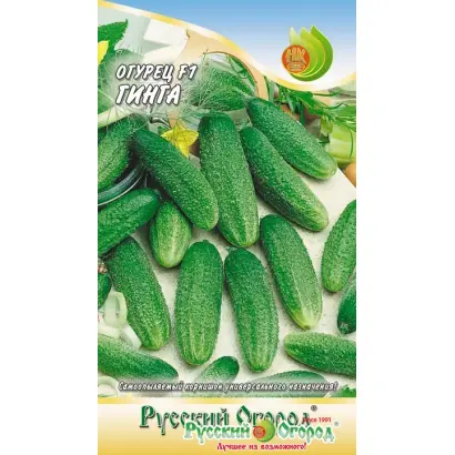 Ginga F1 / Гінга F1