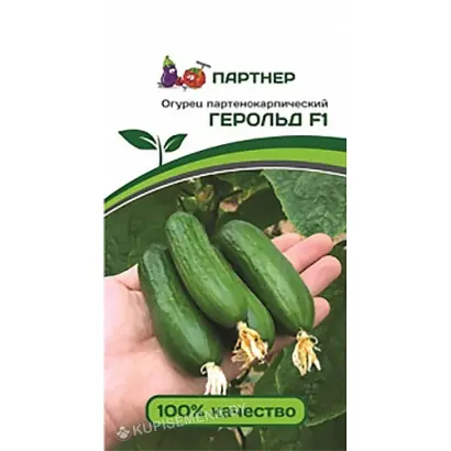 Grandor / Грандор