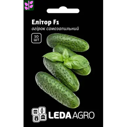 Elitor / Елітор