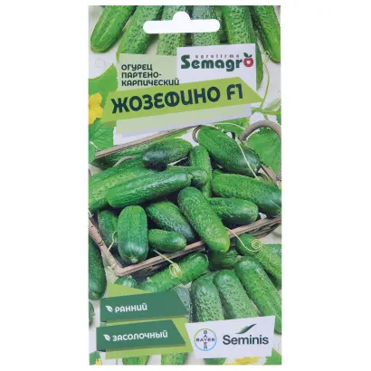 Josefino / Жозефіно