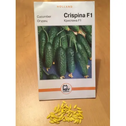 Crispina / Кріспіна