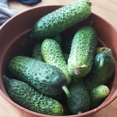 Mozayik / Мозаїк