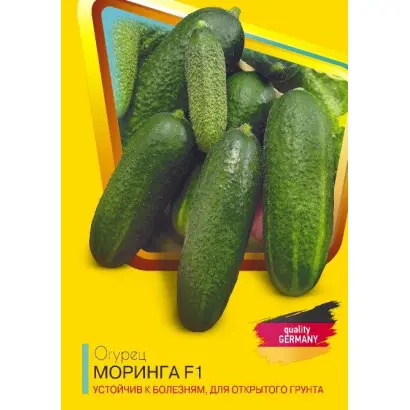 Moringa F1 / Морінга F1