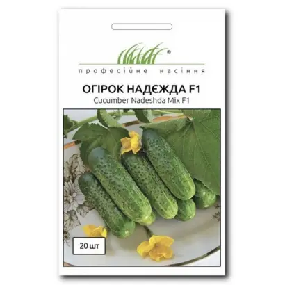 Nadezhda F1 / Надежда F1