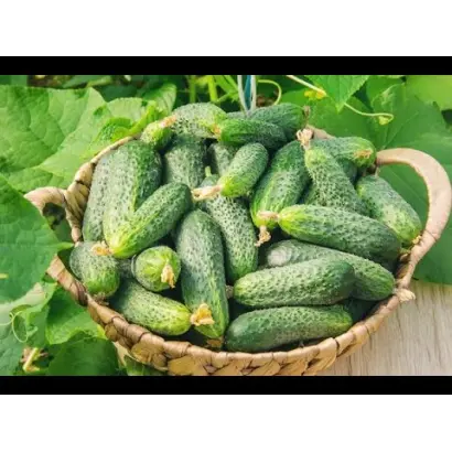 Ніжинський місцевий