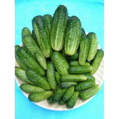 Носівський