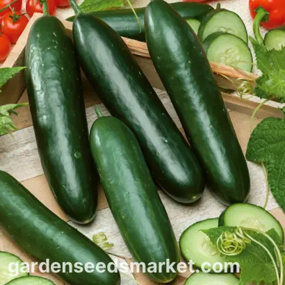 Obelix / Обелікс