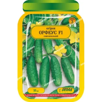 Orfeus / Орфеус