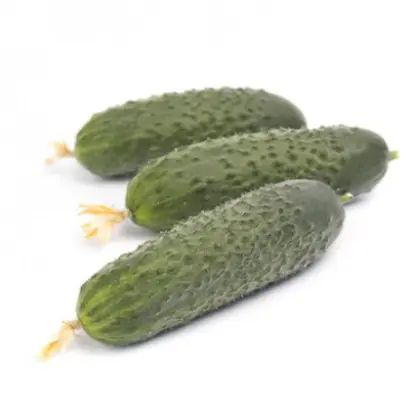 Romara / Ромара