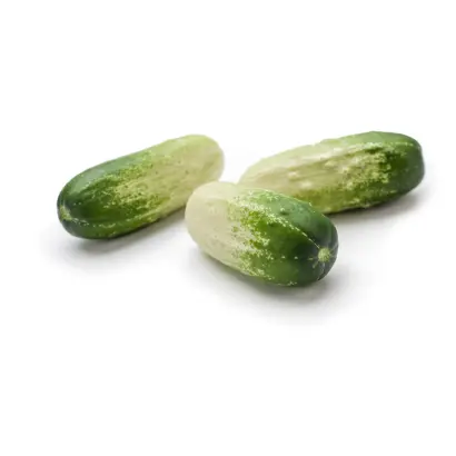 Twinfit / Твінфіт