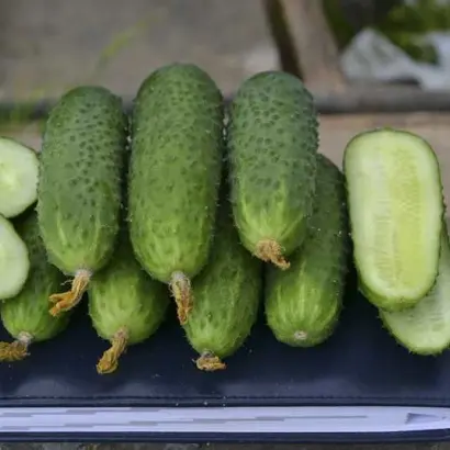 UNIKUM / УНІКУМ