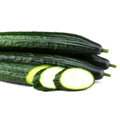 Hi Light / Хай Лайт