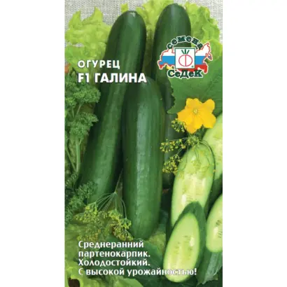 Galina F1 / Галина F1