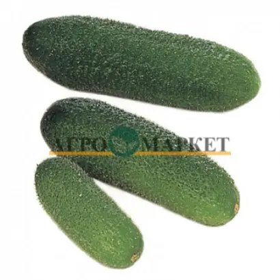 Harmonie F1 / Гармонія F1