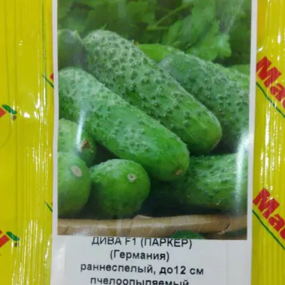 Дива (АХ 155) / Діва