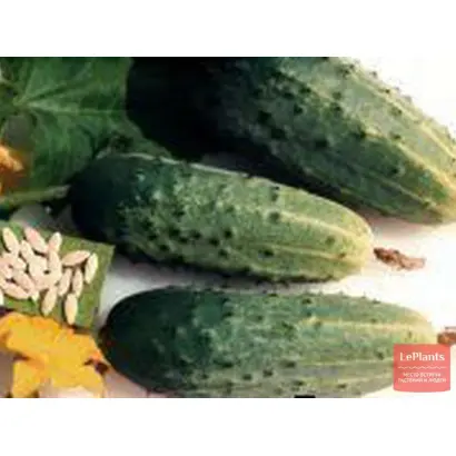 Эпилог / Епілог F1