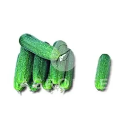 Capra F1 / Капра F1