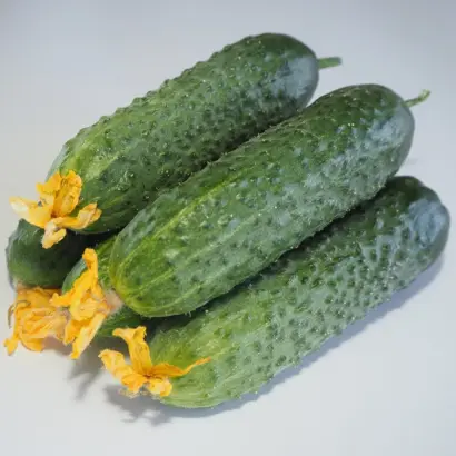 Matra F1 / Матра F1