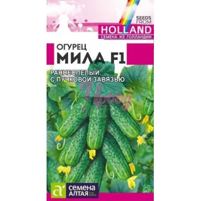 Mila F1 / Мила F1