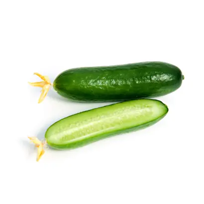 Минирекс F1 / Мінірекс F1