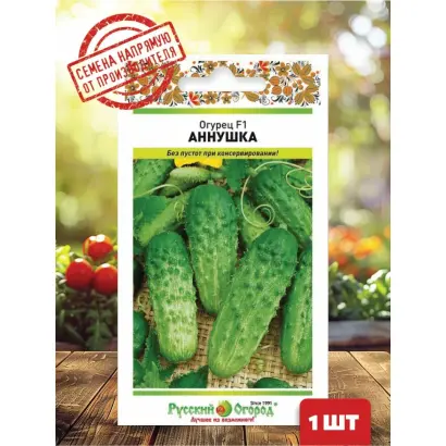 Motiva F1 / Мотіва F1