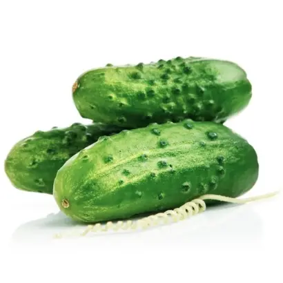 Opera F1 / Опера F1