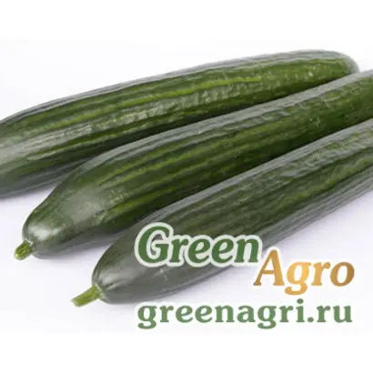 Toploader / Топлоадер