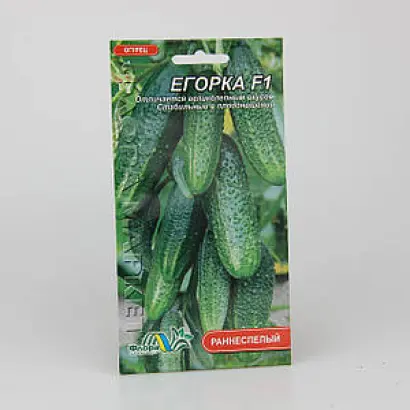 Farbio / Фарбіо