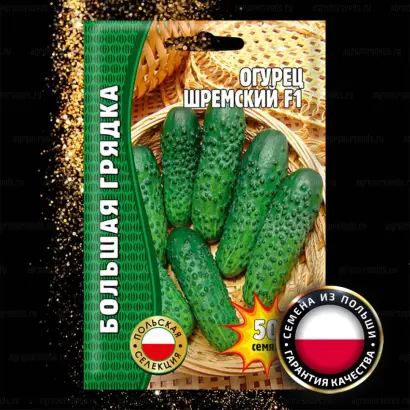 Шэбэлинский F1 / Шебелинський F1