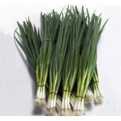 Kaigaro / Кайгаро