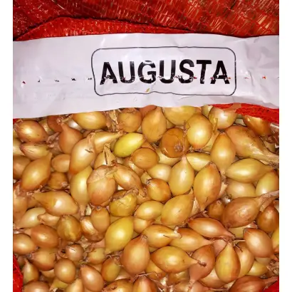 AJUSCO / АДЖУСКО