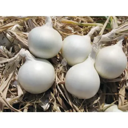 Icepearl F1 / Айсперл F1