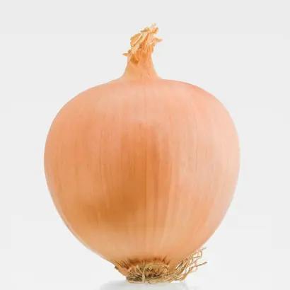 Alonso F1 / Алонсо F1