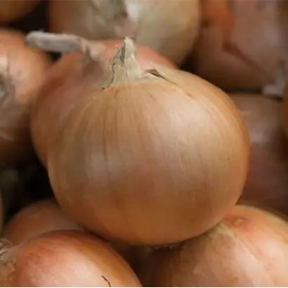 BARUSO / БАРУСО