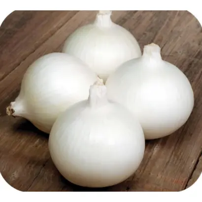 Bello Blanco / Белло Бланко