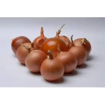 Bereket / Берекет