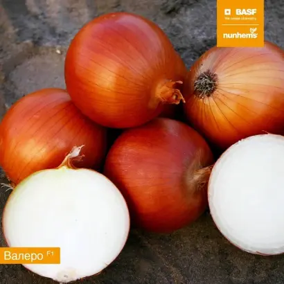 Valero / Валеро