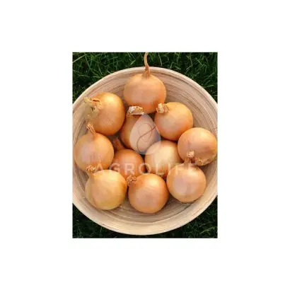 Vares F1 / Варес F1