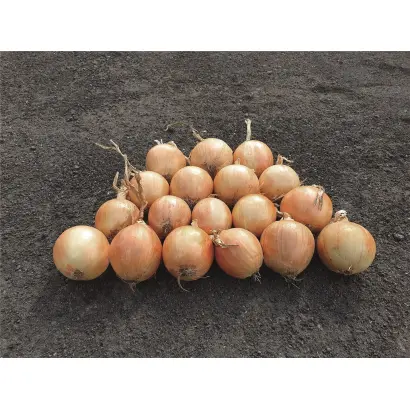 Venecia / Венеція