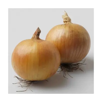 Wolf F1 / Вольф F1