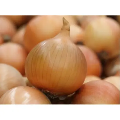 Dritan / Дрітан