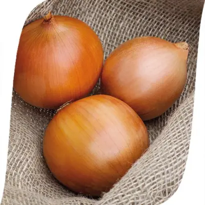 Zambezi / Замбезі