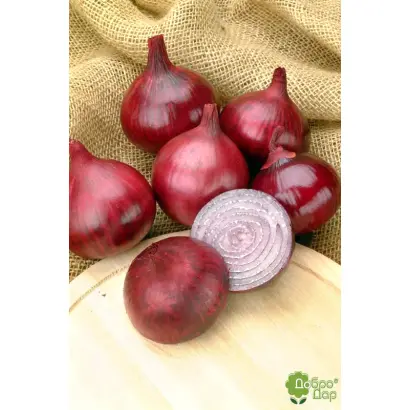 Karmen / Кармен