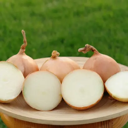 Кэнди F1 / Кєнди F1